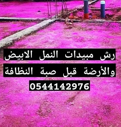 شركة مكافحة النمل الابيض بالمدينة المنورة