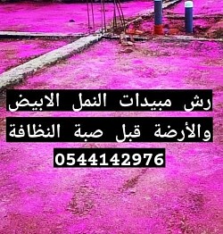 شركة رش مبيدات النمل الابيض بالمدينة المنورة