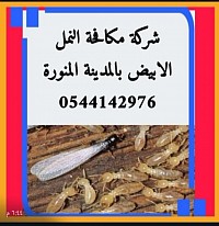 شركة مكافحة النمل الابيض بالمدينة المنورة